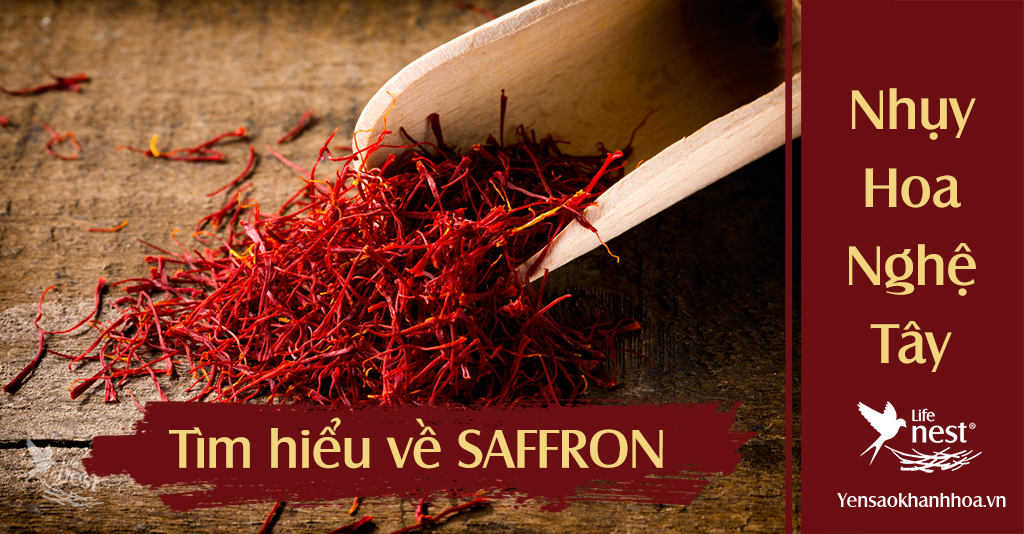 Tìm hiểu về nhụy hoa nghệ tây (Saffron) những thông tin chính xác nhất