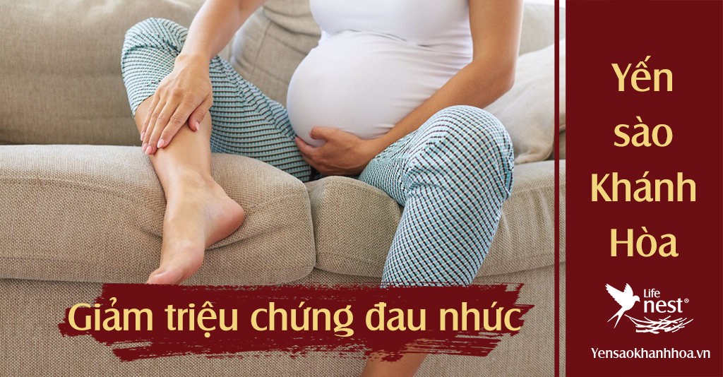 Giảm các triệu chứng đau nhức chân tay trong những tháng cuối thai kỳ nhờ tổ yến